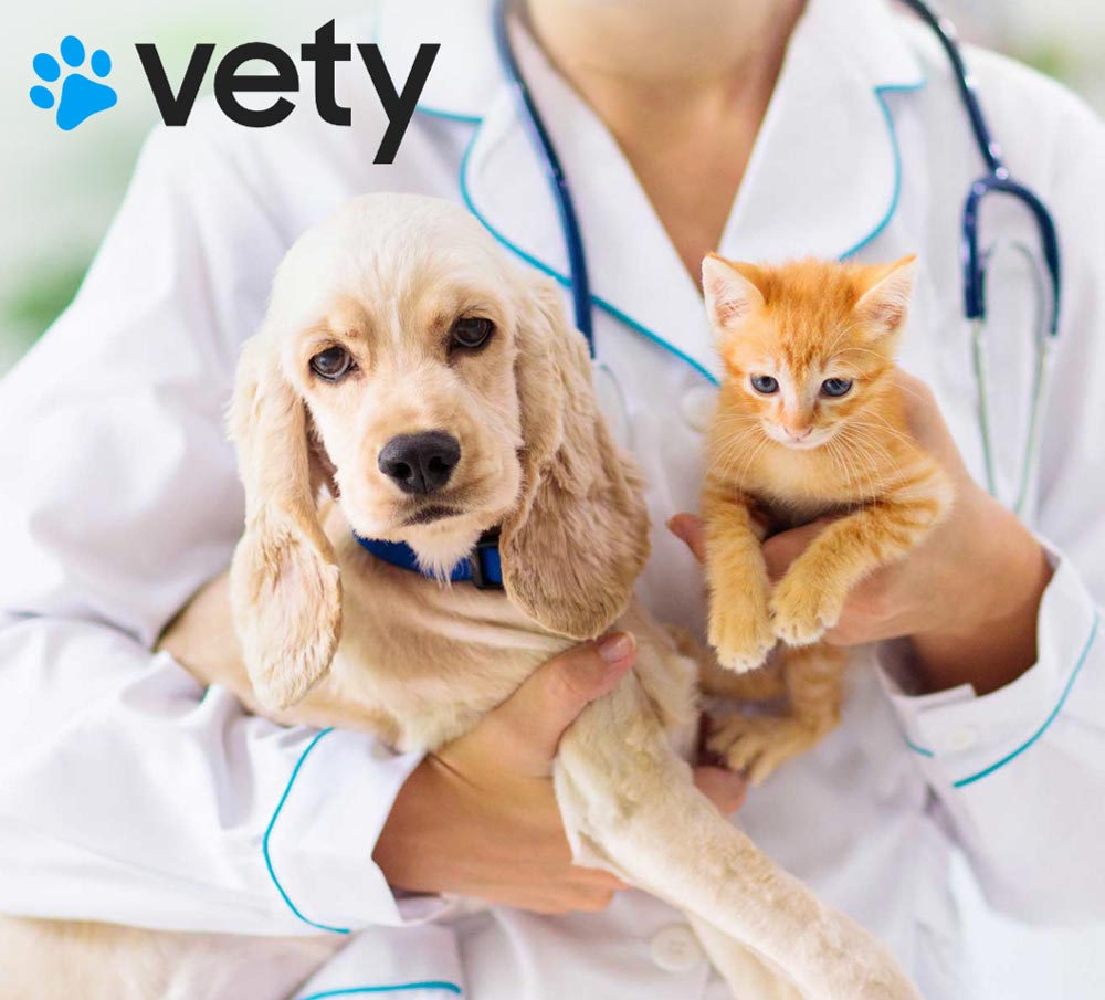 Vety portfolio image showing a vet holding a puppy and kitten.